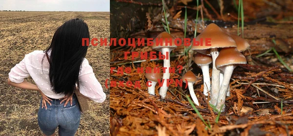 метадон Покров